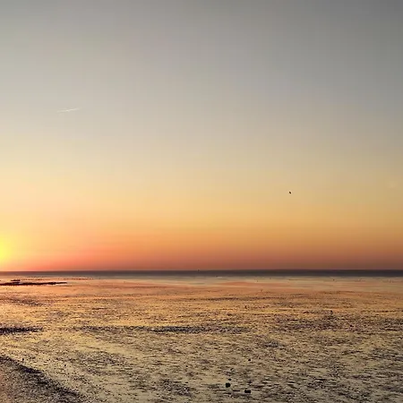 Holiday home Tiny House Nature 5 Innenlage - Tiny Village Harlesiel Carolinensiel